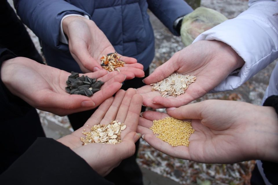 ��������� ��� �����. � ������ ���������� ������� "������ ��������� ����" ������ "������ ������" ������������� ��������� � ����������� ���������� �������� ��� ����, ������� ��������� � ���������� �����
