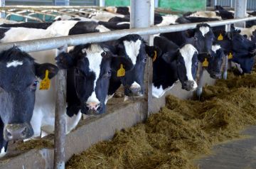 ��� � ����� ��������������: ��������� ��������� ��� �������� 50 ����� �������