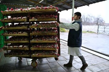 ������ �� ��� �������� � ����� ������ �� ������. ��� ���������