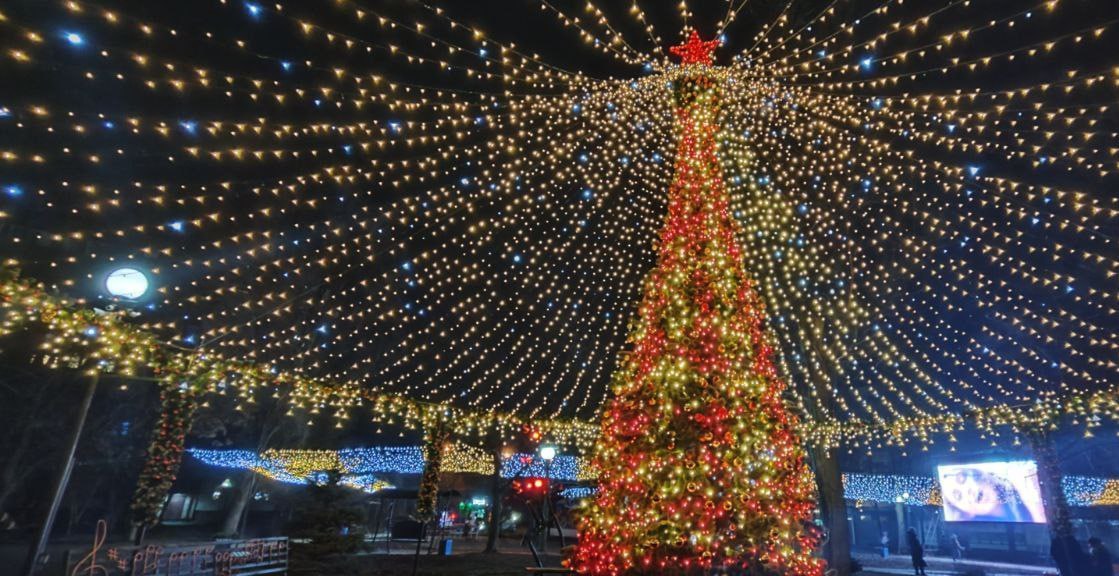 Одну из самых красивых ёлок ДНР отключат из-за помочившейся на неё собаки