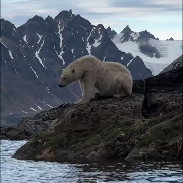 ��������� ����, ���������!