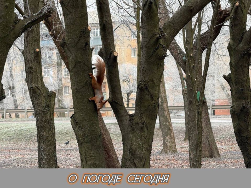 ��������� �����: 23 ������� � ���������� ������� � ������������, ������� �����, ������� � ������ � ���� ������� �����, ������ ����� �� 10 ������ � �������