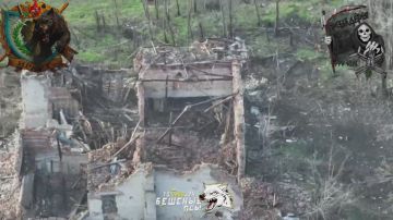 ����������� �������� ��������� ����� ���� ����������, ����������, ������� ����� � ������������ ��������� FPV �������� ������ ����������� ����� "�����" ������� "������� ���" �� ���������� �����������