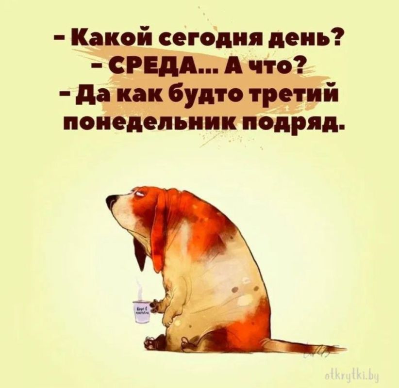������� �����. �� � Telegram