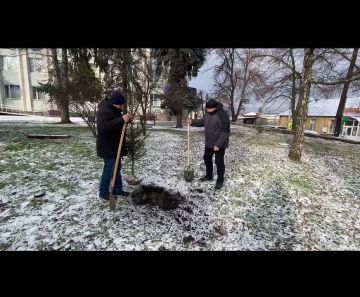 � ���������� ���������� ���������� �������� ������������� �������������� ������ ������ � ������ ������ ������������ �������� � ��������������� ������������� ������� ������� ���� � ������ ����� � ������ ������