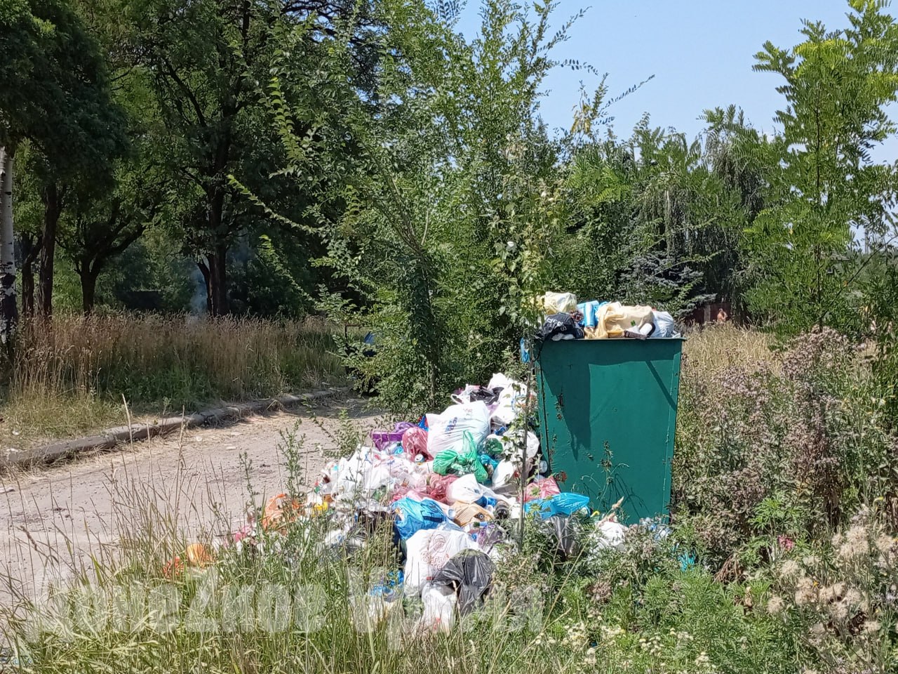 В 2026 году вывоз мусора подорожает на 36,2%: тариф изменится во втором полугодии