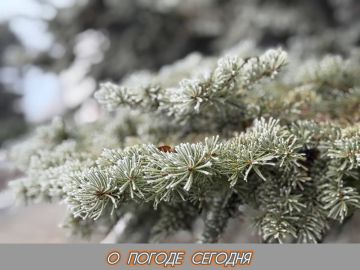 ��������� �����: 25 ������� � ���������� ���������� ����������, ��� ������������ �������, ������ ����� �� 10 ������ � �������