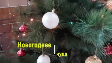 � ���������� ���������� ���������� ���������� �������� ����� �������� ��� �������� ������ � ����������������� ������������ ��������� ����������������� ����� ��� ����� ����������