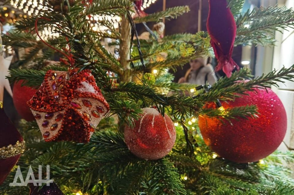 Еловый Гринч. Стоит ли жителям ДНР боятся «ёлочных клещей»