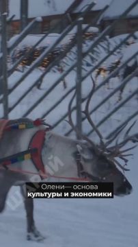 ������! ��������, ����, ������� �����!