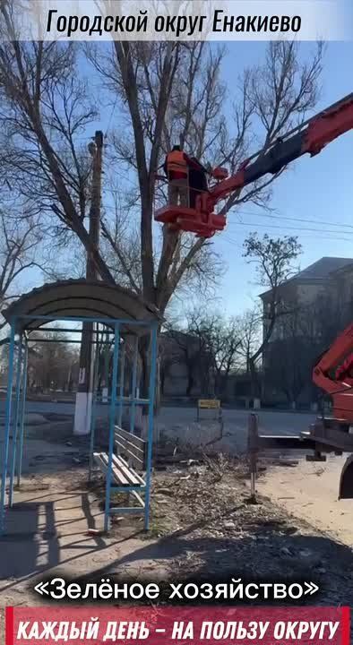 ������� ���� � �� ������ ������