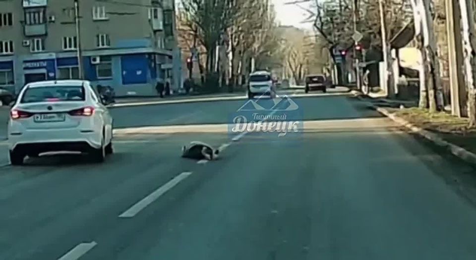 ��������, ���������� �� �������: �������� � ��� ��������� ��������������