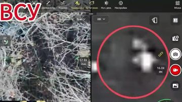 ����� ����������: 57 ����� ������ ������� � ������ ������ ��� � �������� � ���������