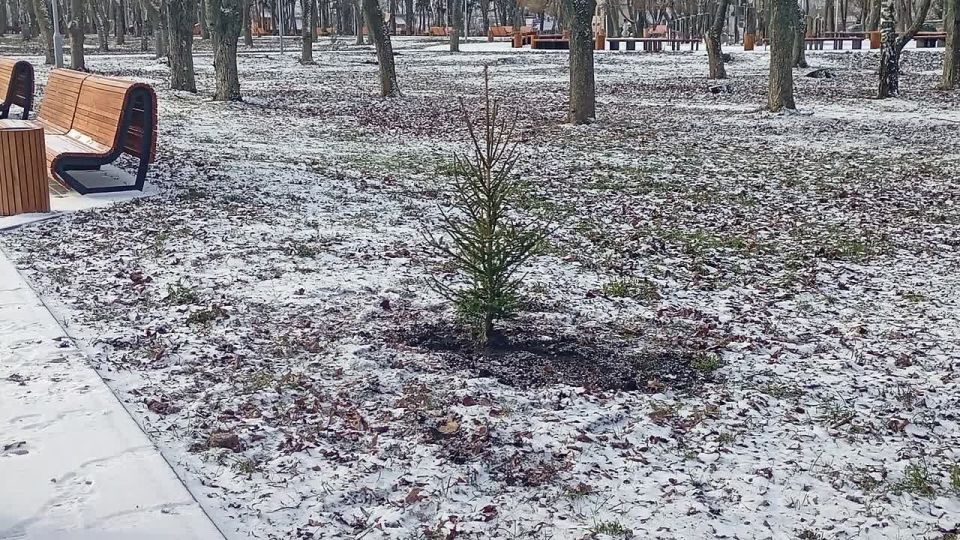 ������ ������ � ����� � �������