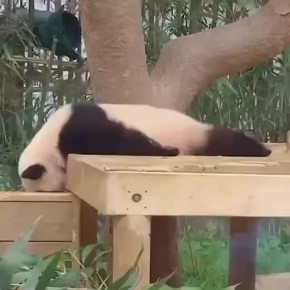 ��������� ����� �������������� ����� � ����� ��� ��� �� ��