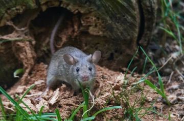 ��������� ��� ������: � ���������� ������� ��������� ������� ���� �� �����