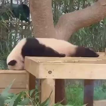 ��������� ����� �������������� ����� � ����� ��� ��� �� ��