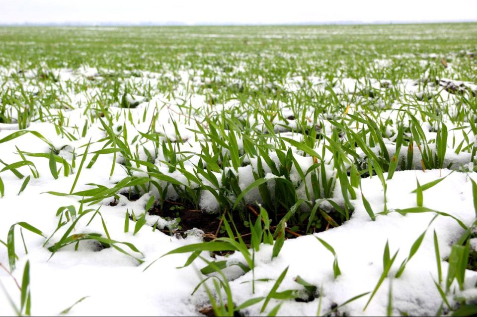 ����� ����������: �� ������ ������ ������ � ��� ��� �������� ��� ������ �������