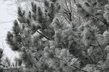 � �������������� ����������, ����� ����� ������ � ��� � ��������� ��� ����