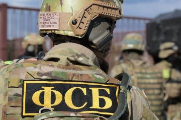 ФСБ задержала жительницу Донецка за шпионаж в пользу ВСУ и призывы к терроризму