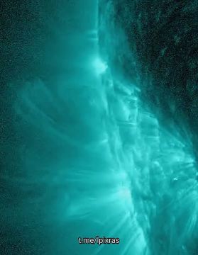 Самая сильная с 8 декабря вспышка произошла на Солнце, сообщили в лаборатории солнечной астрономии ИКИ РАН