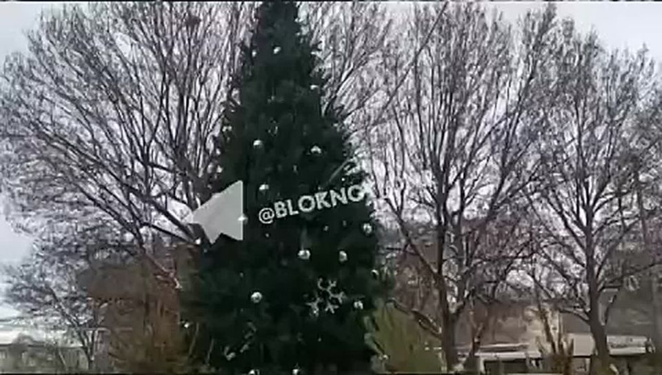 ������� ����� �� �������