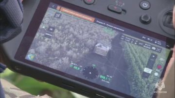 �������� 35-�� ���� ��������