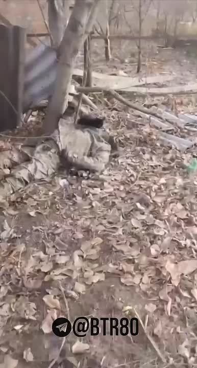 ������� �������: "�������� - �������!"