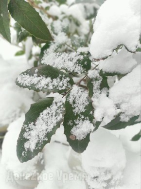 ������ ��� �� ��������� ����: ���������� ���� �������� ������� ��� ������ � ��������