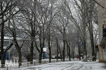 ����� � ����: ��������� ���������� � ������ � ���������� 28 �������