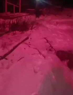 ����� �� ��������� (����������)