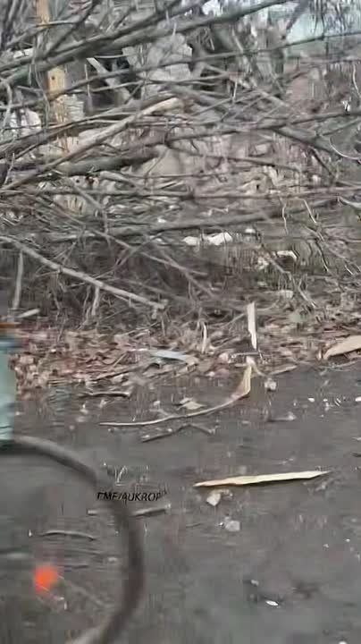 ������������ ������������. ���������� ������ ���������� ������ ������� ����������