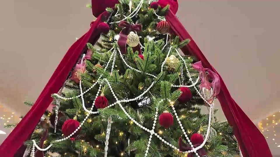 � ���������� ���������� ����� �������� ��������� ���������� �������� �122, ����� ������� ���������� ������� ����� ���������� ��� � ������� �� ����������� �����