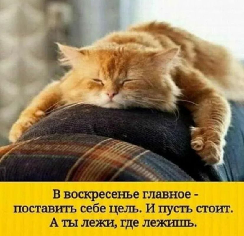 ������� �����. �� � Telegram