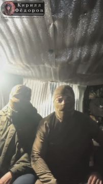 ������� ������������ � ����������� �����������