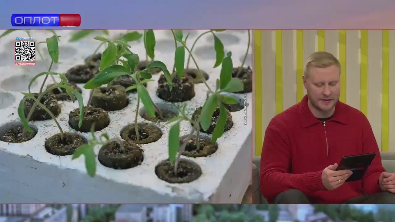 В ДНР в следующем году планируют закупить для аграриев 301 единицу новой сельхозтехники