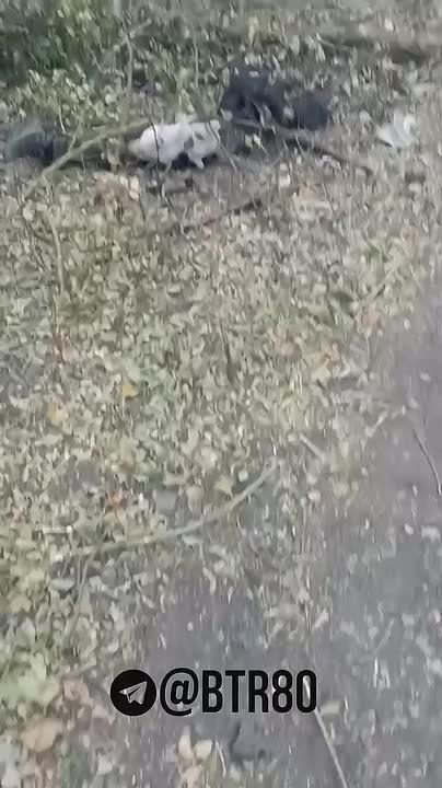 ������� �������: "�������� - �������!"