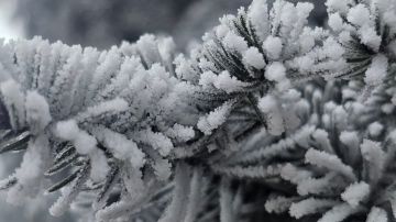 ������������� ������������!