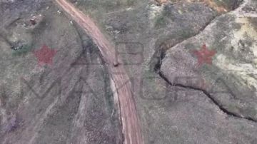 ��� ������: ������������� ������. ����� 33-�� ������������ ��������������� ����� ���������� ����������� ���������������������� ������� ���������� �� ���� ������� ������