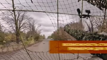 #�������������������. ����������� �� ����� �����������������.�� � �� �������� 117 @PRO_respubliku