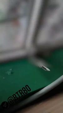 ��� �� �������� ���������: �������� ���������� ������� � ��������� ����� ��������������