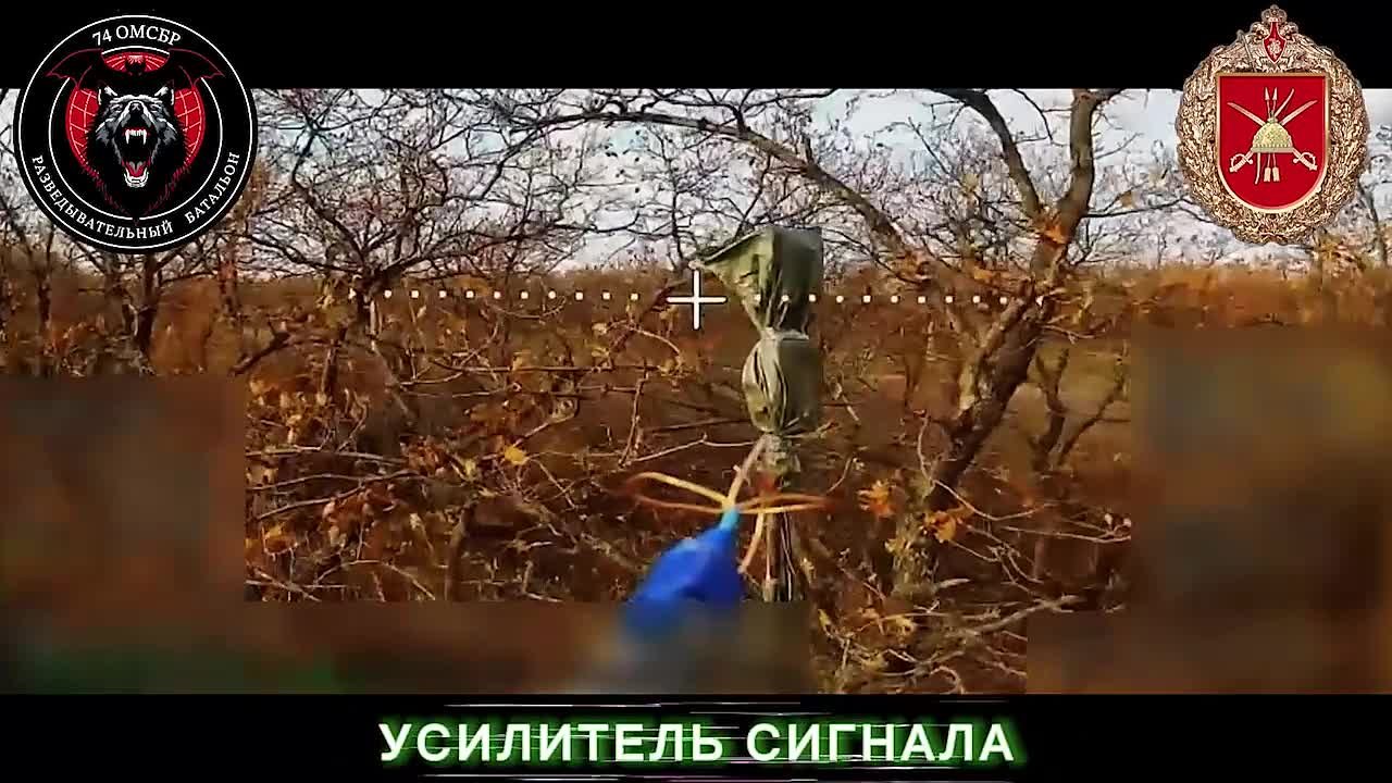 Разведывательный батальон бригады «Бешеные псы» продолжает уничтожать средства связи, бронетехнику и укреплённые укрытия с личным составом 42-й бригады ВСУ на Покровском направлении