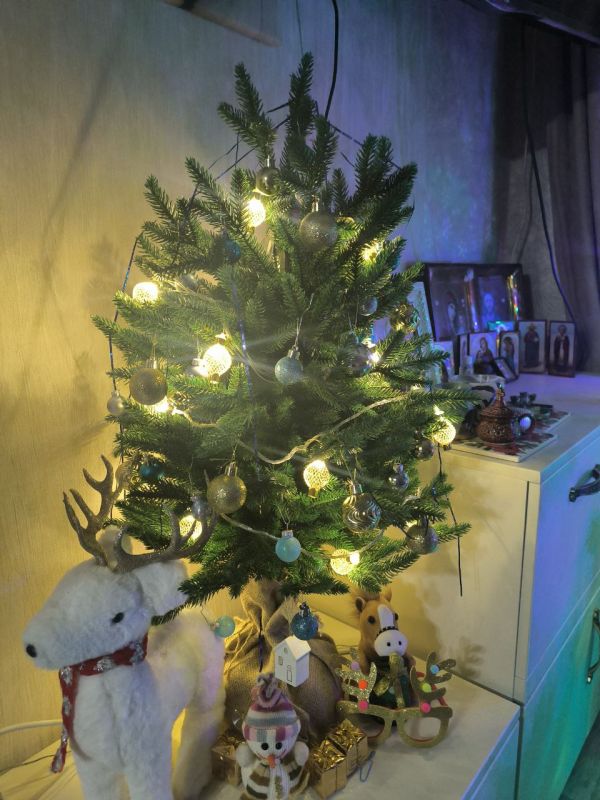 ���� �������������: ������� ������, ���� ���� ������������� � ���������, ��������� �������, ����������� ���������� �����, ���� ������������� ������ � ����� �����, � ��������� ���������� ���� �����������