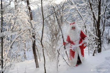 Дед Мороз на своих санях успешно добрался до новых регионов