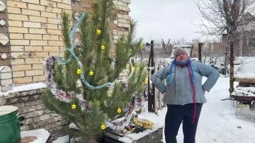 Единственная жительница разрушенной Марьинки готовится к Новому году