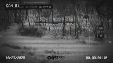 Дроноводы Отважных засекли в районе Ивановки на Покровском направлении антенну на дереве и потом всушных не-коллег с Бабой Ягой, которые шли в блиндаж