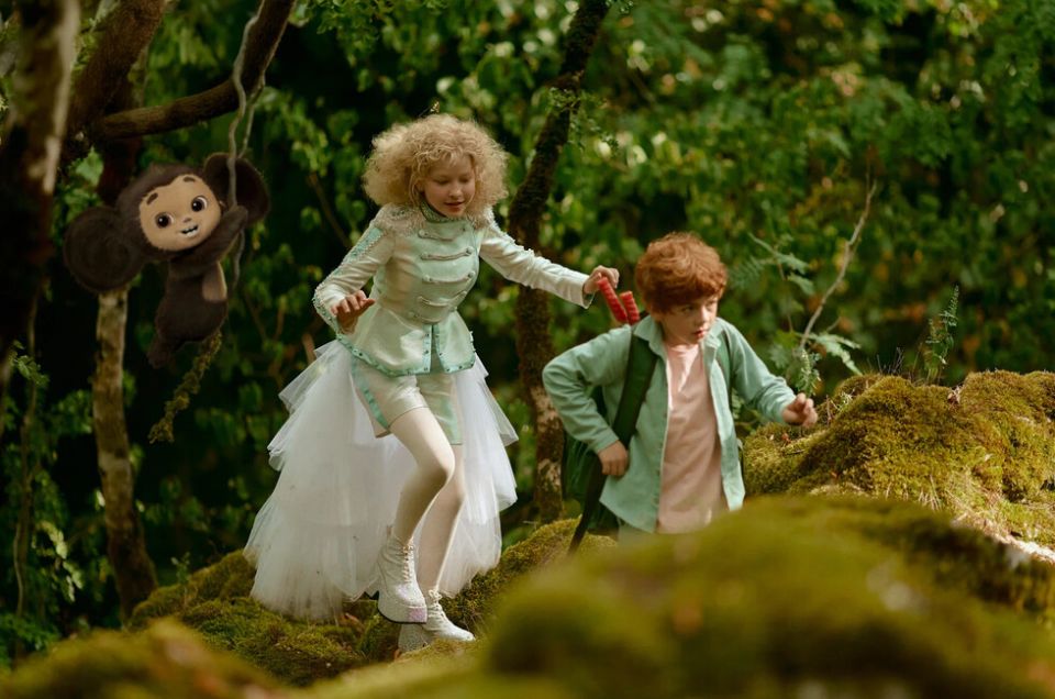 ���������� �����������: ���������� ���� ������������, � ��������� �����������