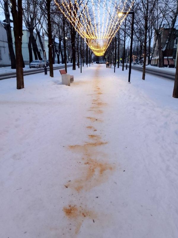 ��������� ������: � ������� �� ������. ������������ ��� "���" ��������� ������ ���������� ���������������