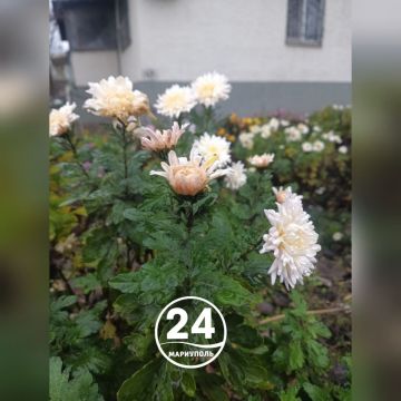 � ������ �����, ���������!