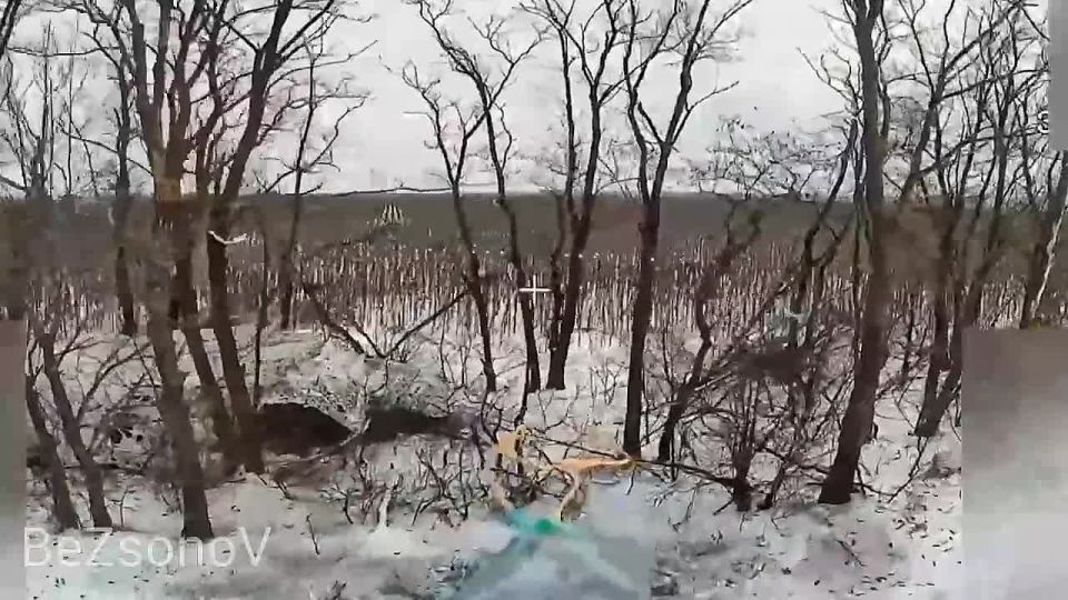 ������ ��������: 33 ��� ��������� ������� ��� � ������ ���������